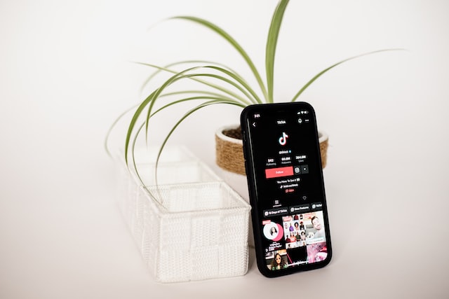 tiktok on smartphone